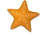 Captcha image 7779