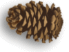 Captcha image 3328